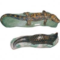 Chinese alligator model